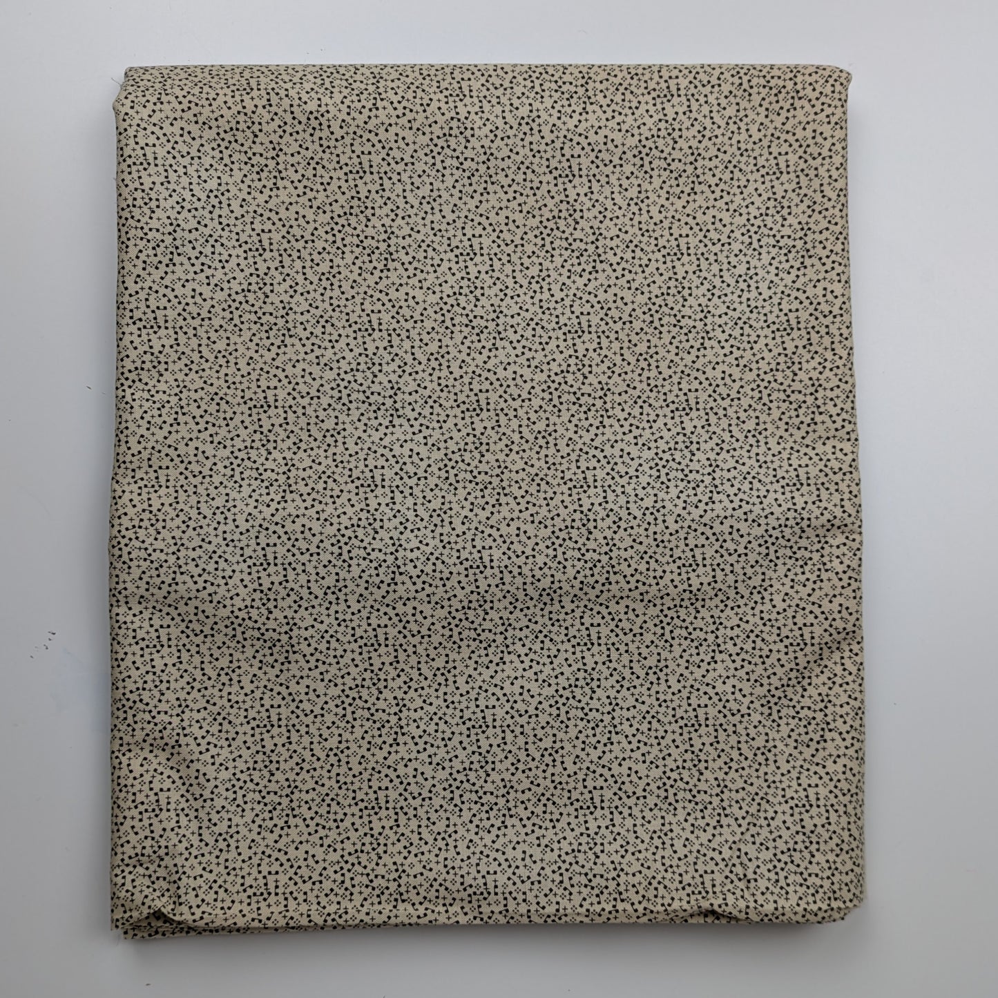 1800s Reproduction Print