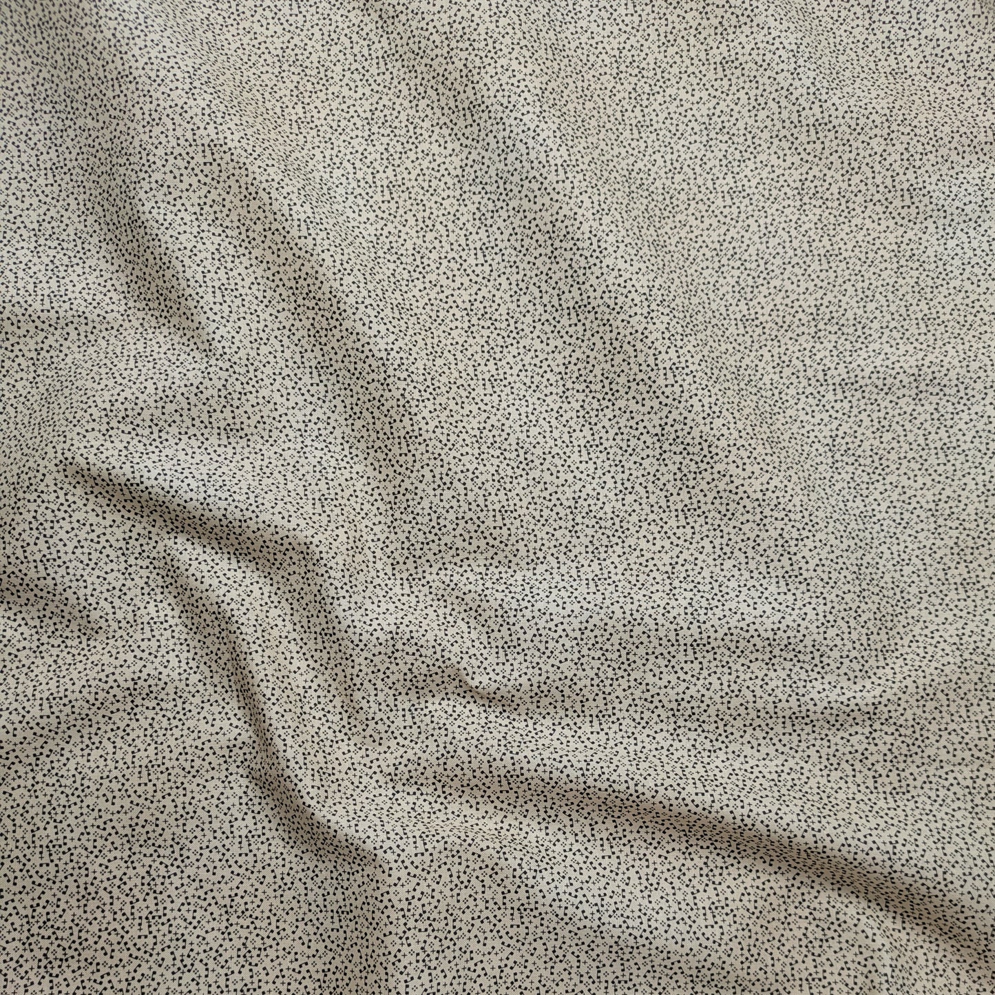 1800s Reproduction Print