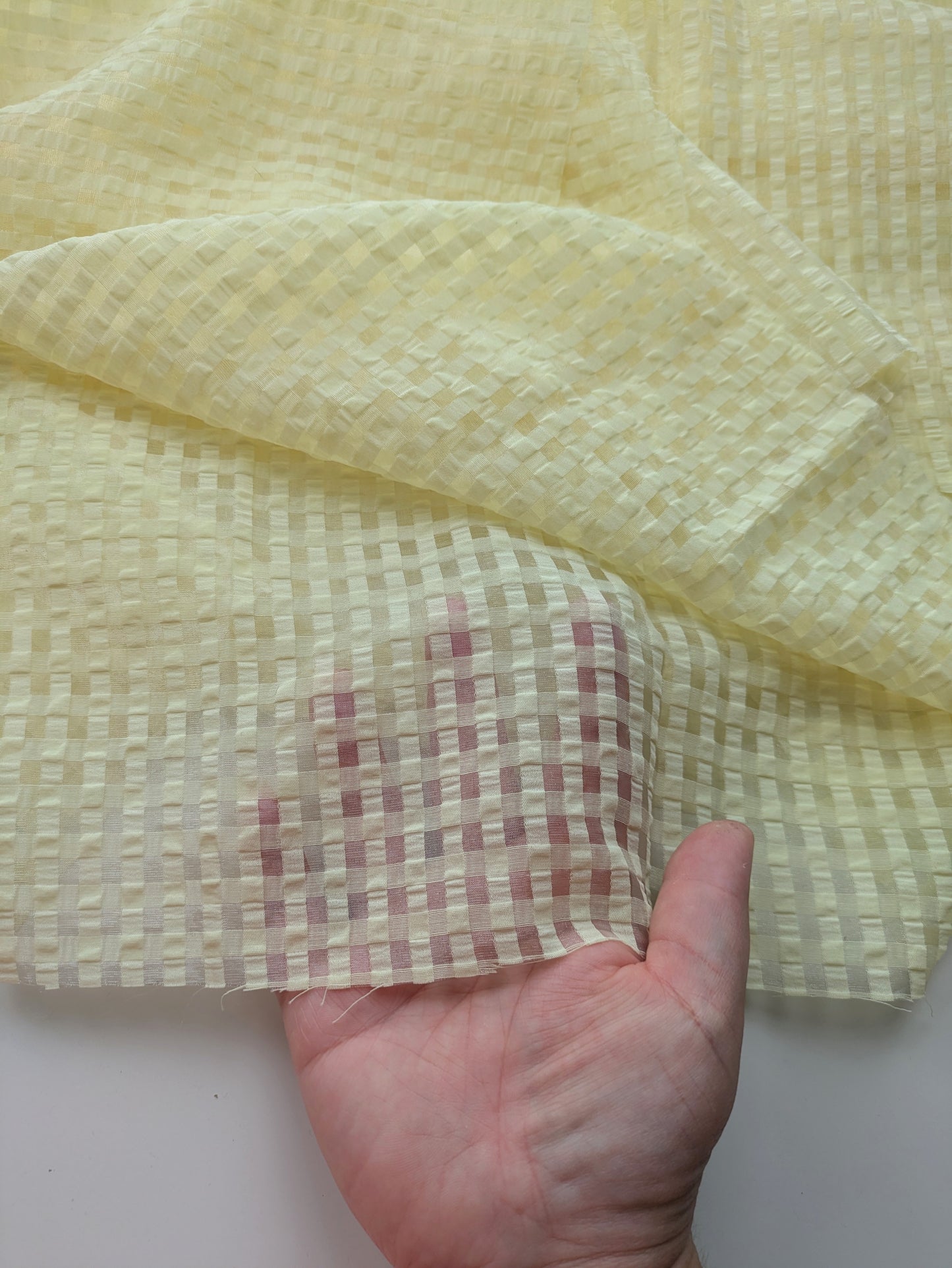 Translucent Yellow Gingham